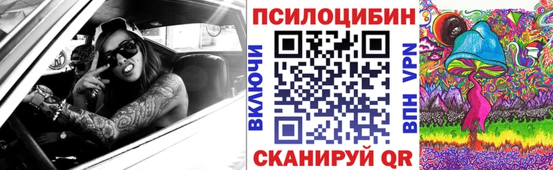 Псилоцибиновые грибы мухоморы  MEGA как войти  Александровск-Сахалинский 